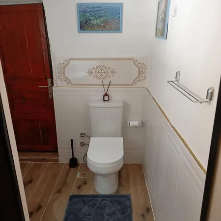 Spacious&comfortable Historic Place Near Kaleiçi Detached House Appartement